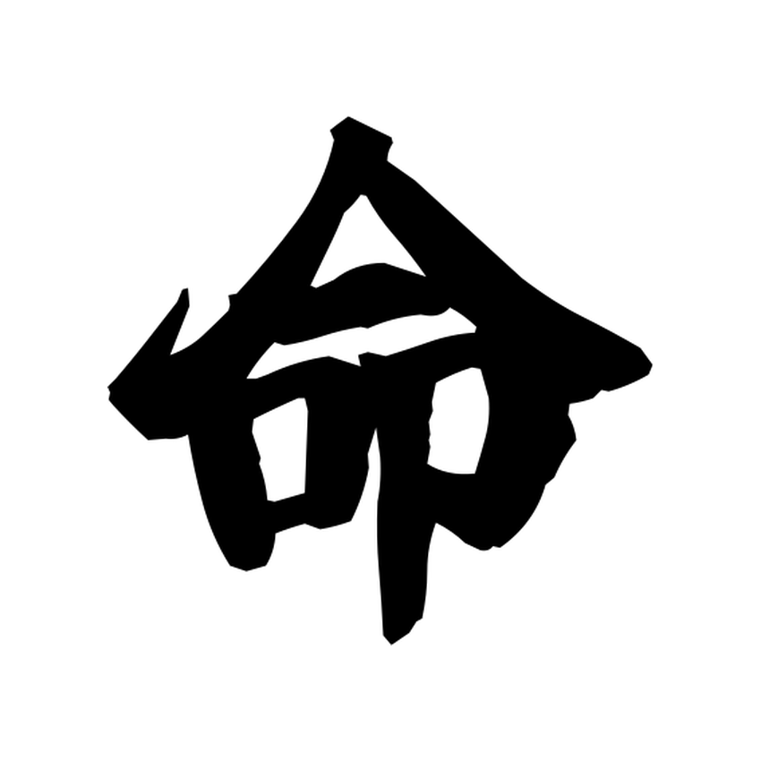 Brush-style Japanese tattoo image for 命