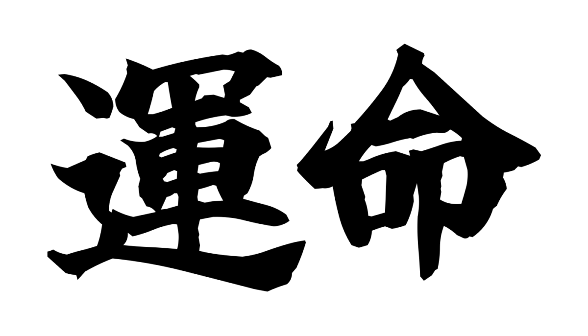 Brush-style Japanese tattoo image for 運命